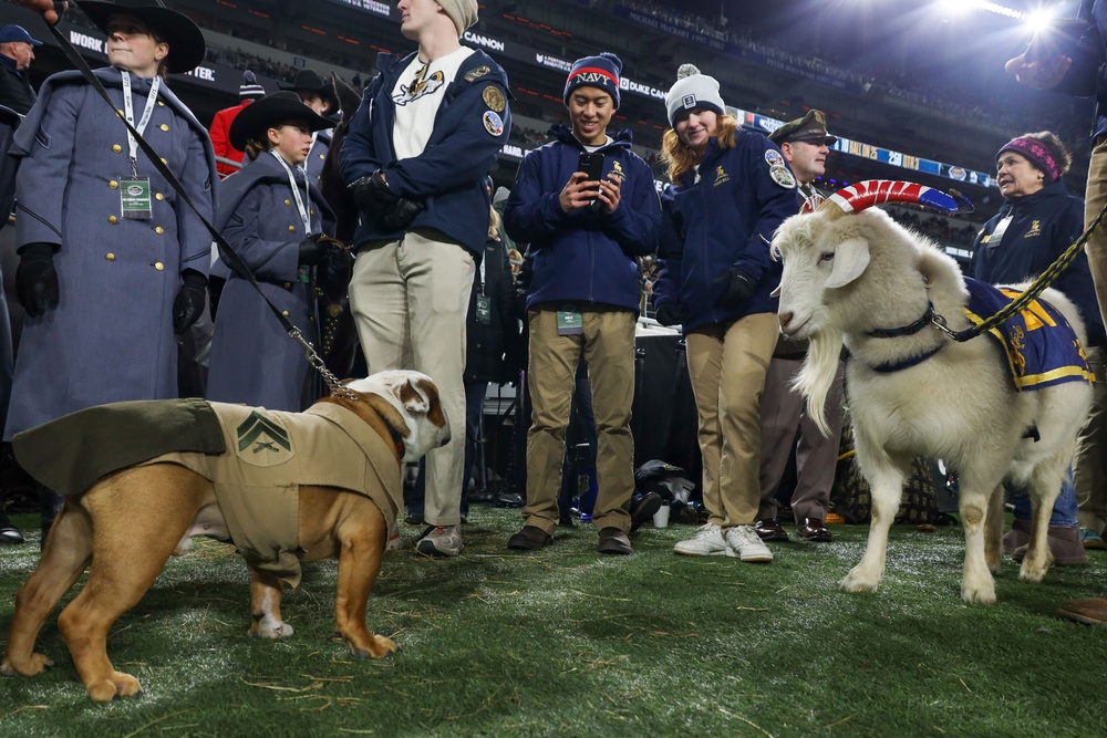 Cpl. Chesty XVI takes on "America's Game"