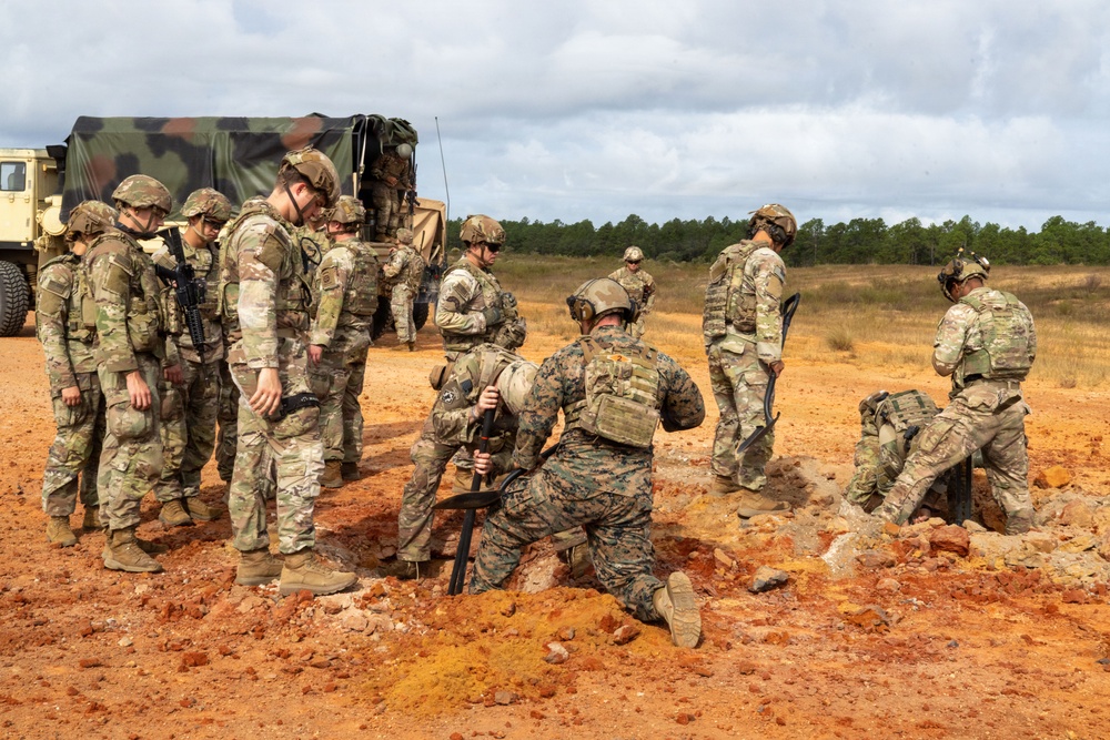 Operation Tiger Dawn