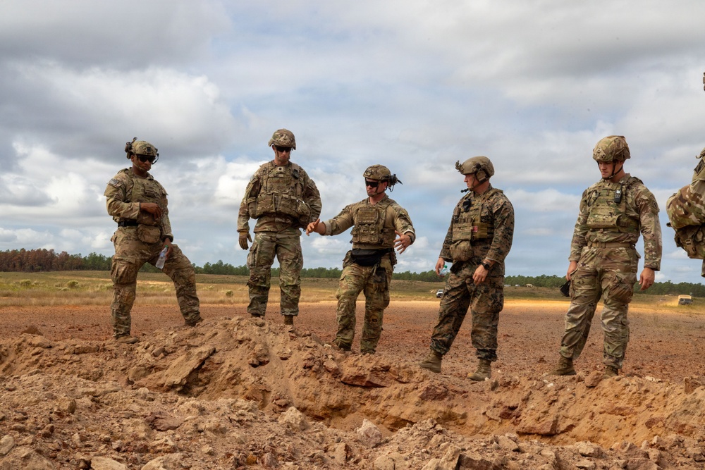 Operation Tiger Dawn