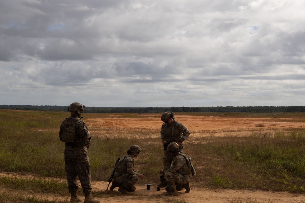 Operation Tiger Dawn