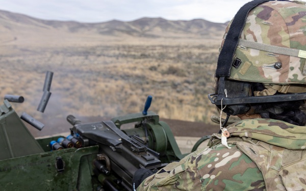 1-2 Stryker Brigade Combat Team Conducts Mark 19 Live Fire Training