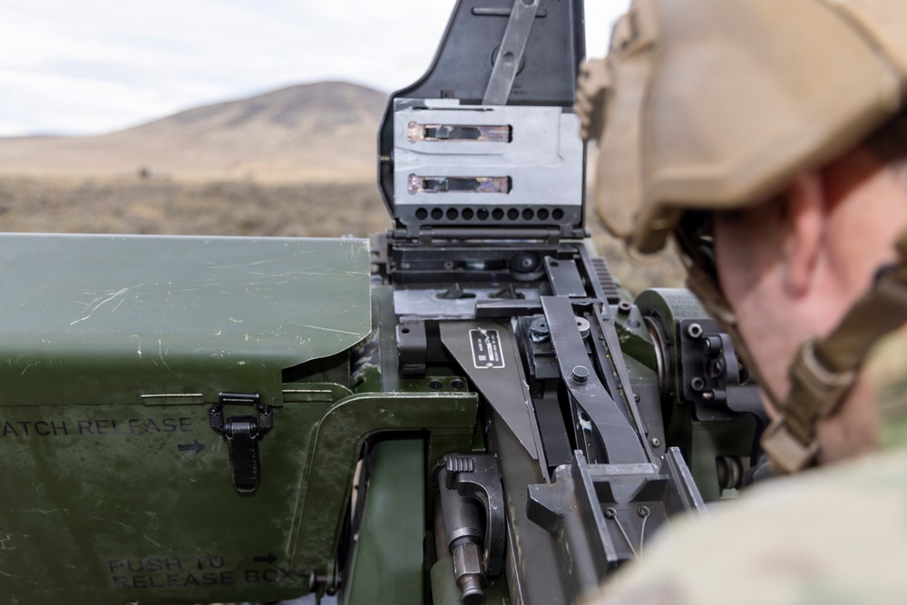 1-2 Stryker Brigade Combat Team Conducts Mark 19 Live Fire Training
