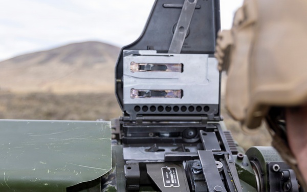 1-2 Stryker Brigade Combat Team Conducts Mark 19 Live Fire Training