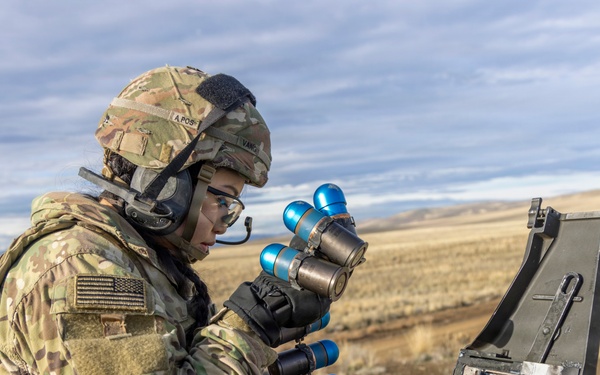 1-2 Stryker Brigade Combat Team Conducts Mark 19 Live Fire Training