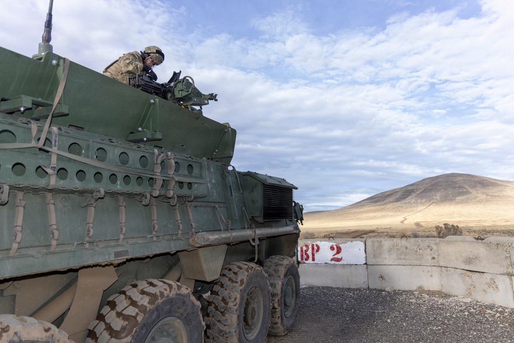 1-2 Stryker Brigade Combat Team Conducts Mark 19 Live Fire Training