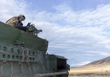 1-2 Stryker Brigade Combat Team Conducts Mark 19 Live Fire Training