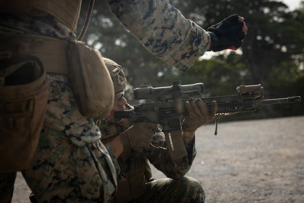 12th LCT Marines Execute a Small Arms Live-Fire Range