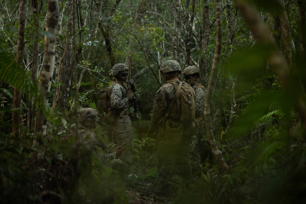 12th LCT Marines Execute Fire Team Attacks During an FTX