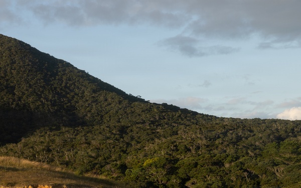 12th LCT Marines Execute Fire Team Attacks During an FTX