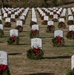 Volunteers Place Wreaths at Barrancas National Cemetery