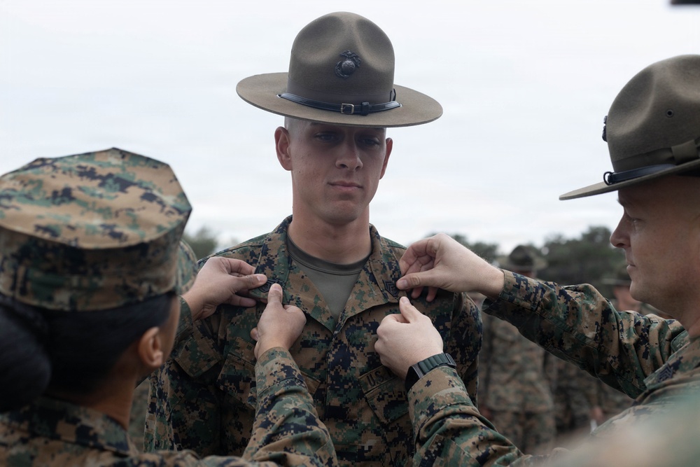 Meritorious Promotion for DI of the Year