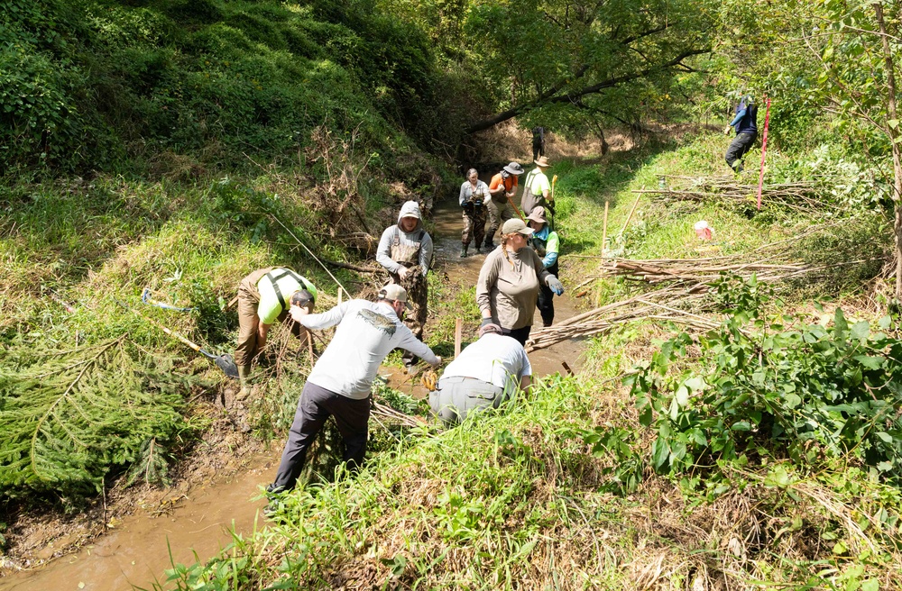 Nature-Based Mitigation Banking:  Beaver Dams at New Melleray Abbey Support Environmental Goals