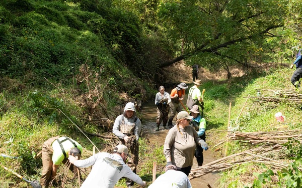 Nature-Based Mitigation Banking:  Beaver Dams at New Melleray Abbey Support Environmental Goals