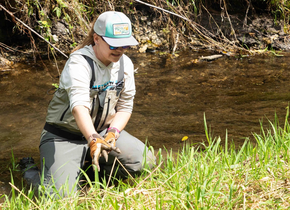 Nature-Based Mitigation Banking:  Beaver Dams at New Melleray Abbey Support Environmental Goals