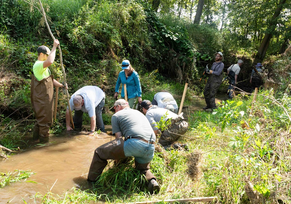 Nature-Based Mitigation Banking:  Beaver Dams at New Melleray Abbey Support Environmental Goals