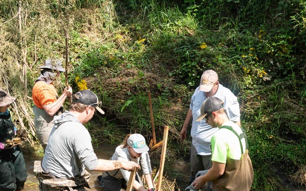 Nature-Based Mitigation Banking:  Beaver Dams at New Melleray Abbey Support Environmental Goals
