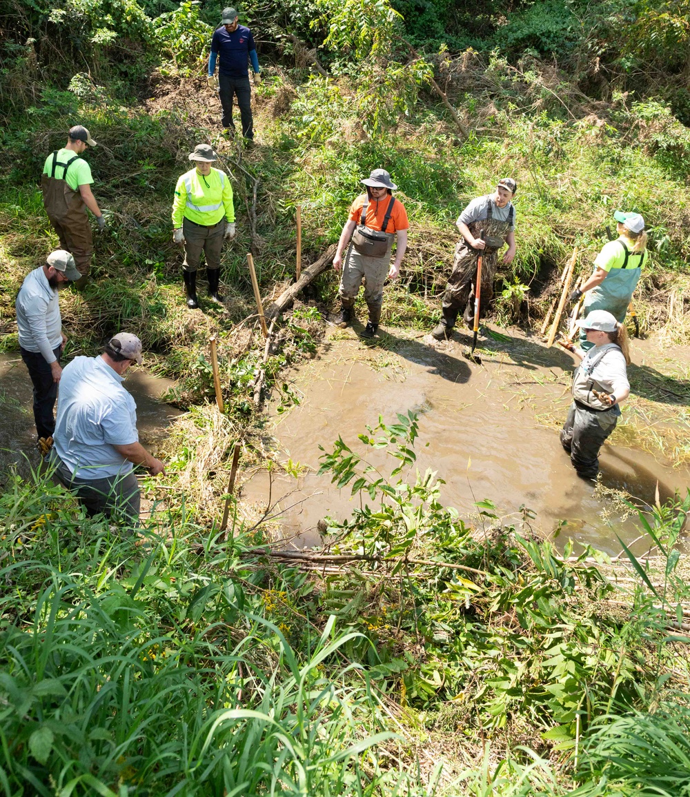 Nature-Based Mitigation Banking:  Beaver Dams at New Melleray Abbey Support Environmental Goals