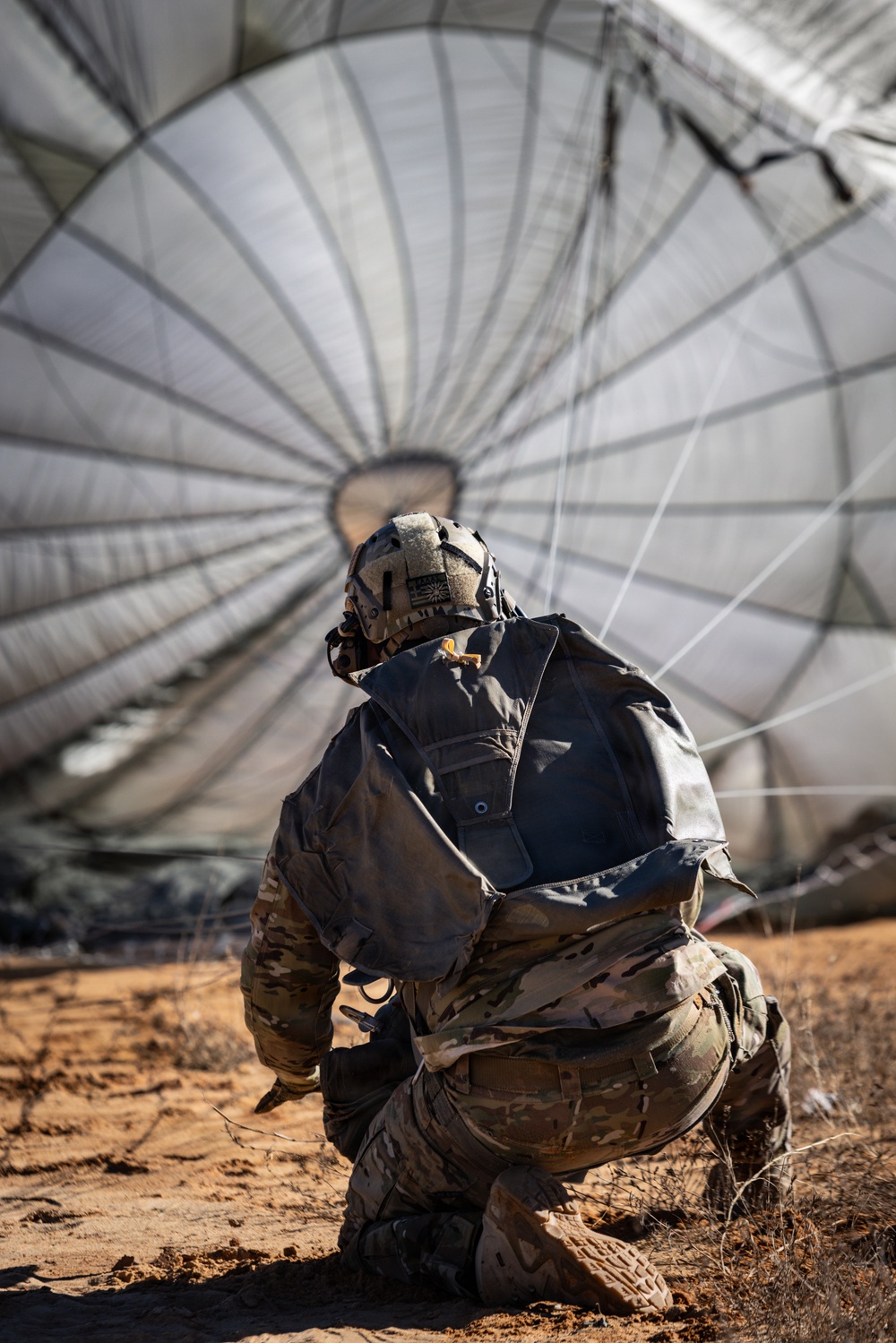 U.S. and International Paratroopers Train Together During Operation Toy Drop