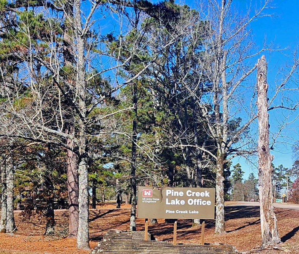 Pine Creek Lake to hold timber sale