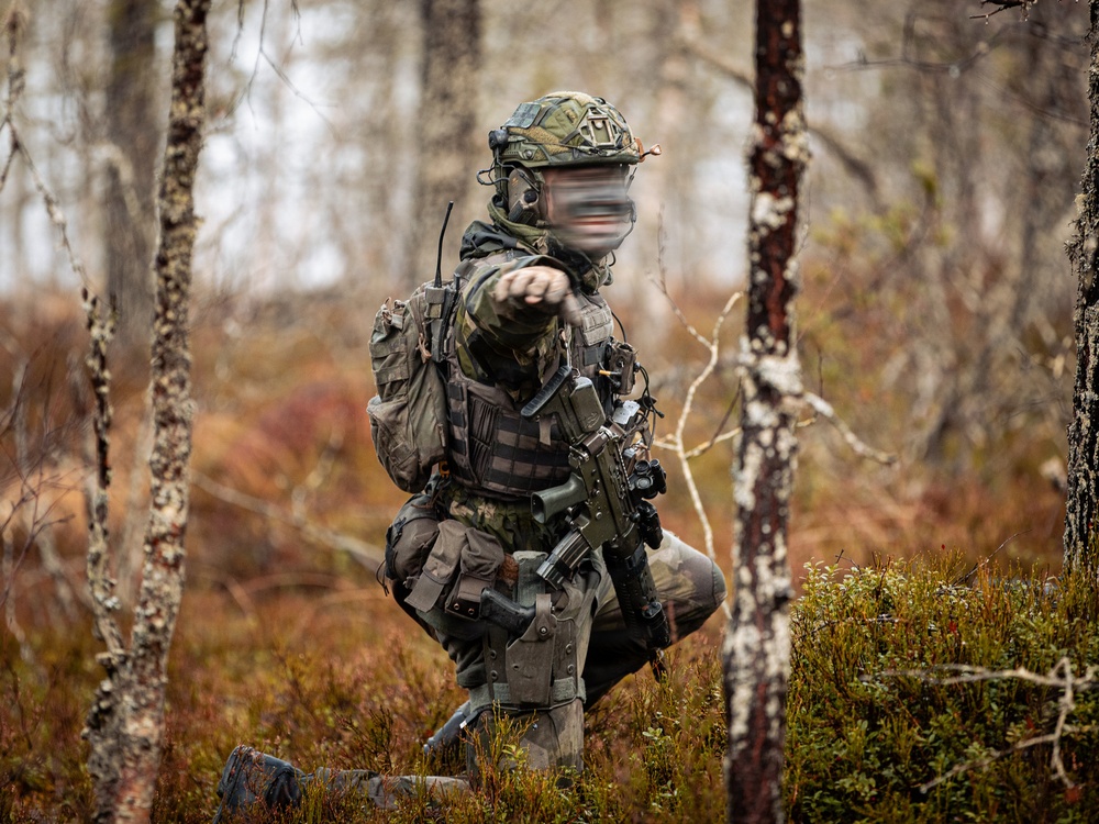 Swedish rangers and U.S. SOF conduct ambush operations