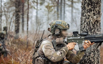 Swedish rangers and U.S. SOF conduct ambush operations