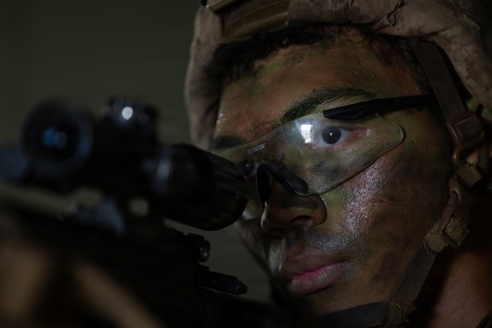 1st Bn., 5th Marines conduct simulated raid during Steel Knight 25