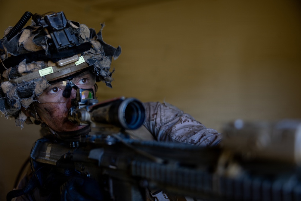 1st Bn., 5th Marines conduct simulated raid during Steel Knight 25