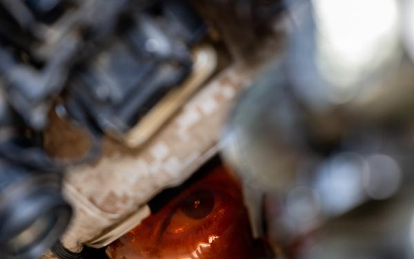 1st Bn., 5th Marines conduct simulated raid during Steel Knight 25