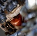 1st Bn., 5th Marines conduct simulated raid during Steel Knight 25