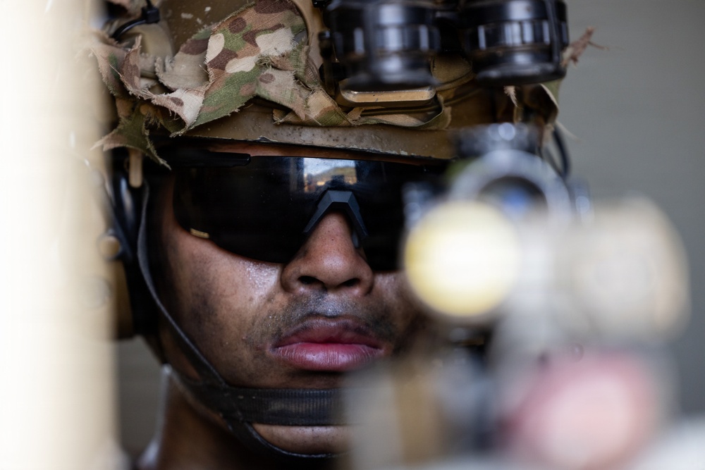 1st Bn., 5th Marines conduct simulated raid during Steel Knight 25