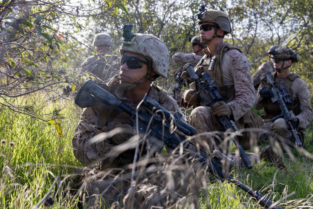 1st Bn., 5th Marines conduct company attacks during combat readiness evaluation