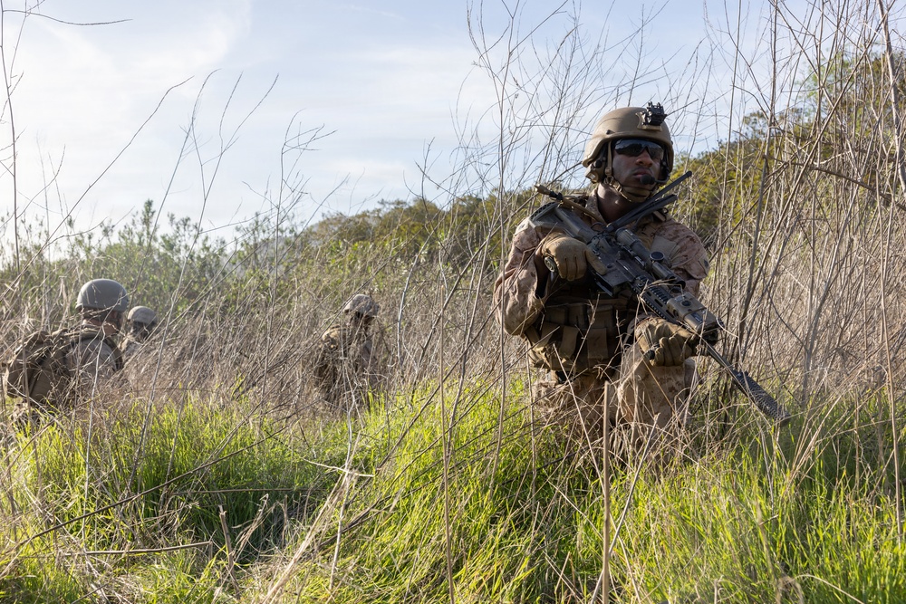 1st Bn., 5th Marines conduct company attacks during combat readiness evaluation