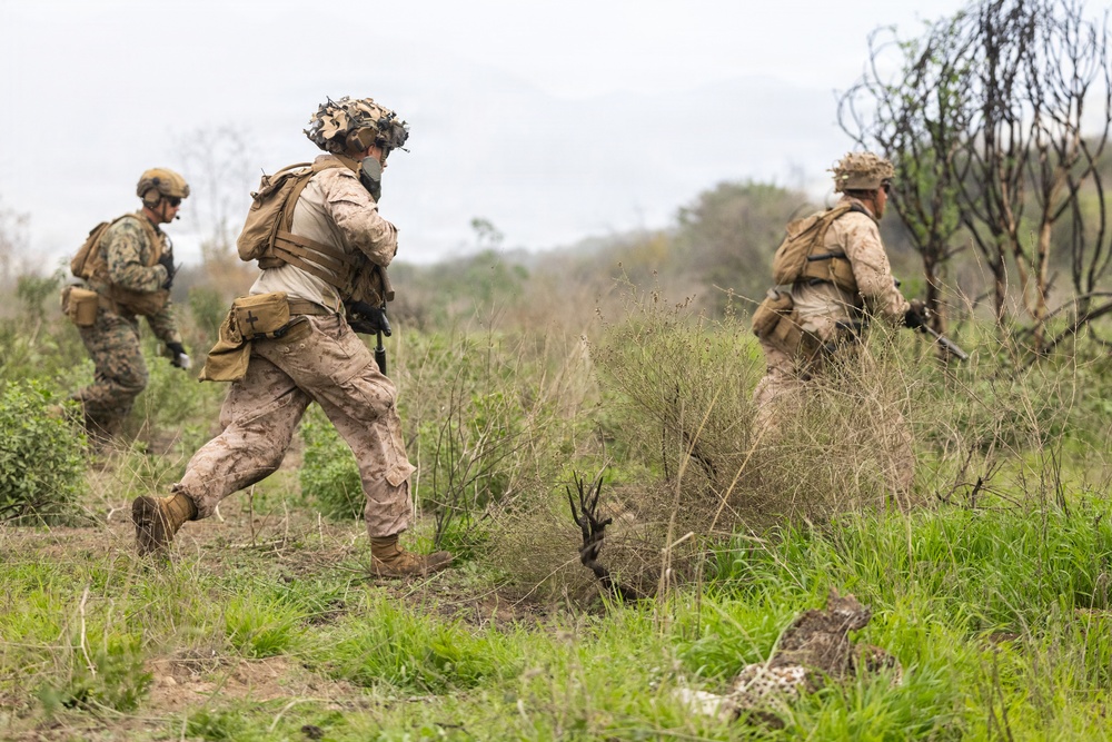 1st Bn., 5th Marines conduct company attacks during combat readiness evaluation