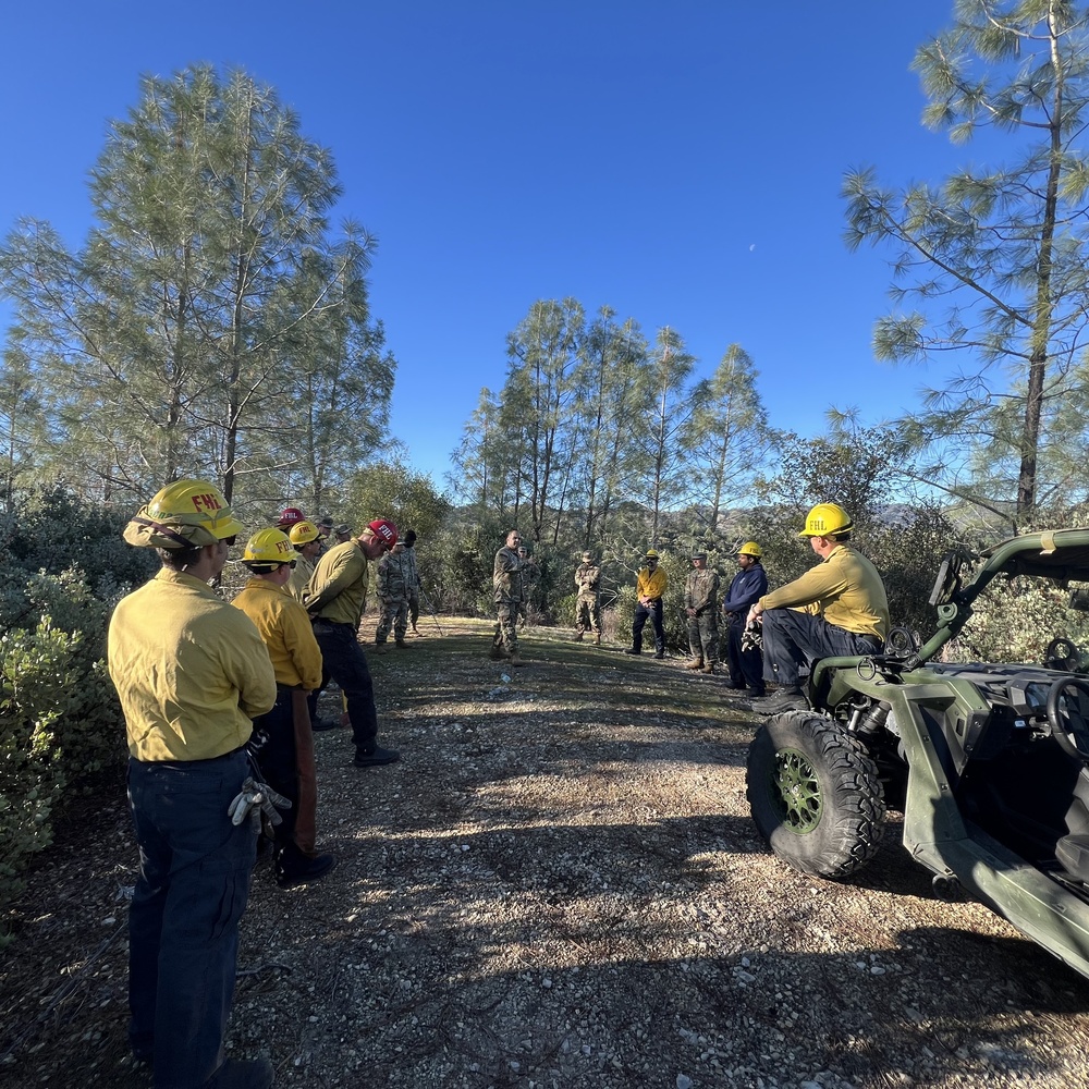 Holistic Health and Fitness training at FHL