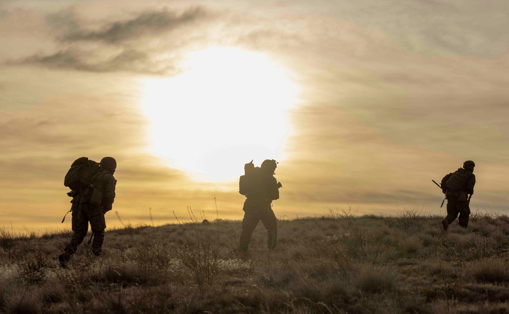 Steel Knight 25: 1st ANGLICO Marines coordinate Close Air Support