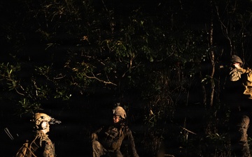 31st MEU | Weapons Co conducts surface TRAP