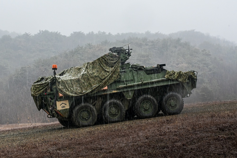 1-38 Infantry Trains During Combined Arms Live Fire