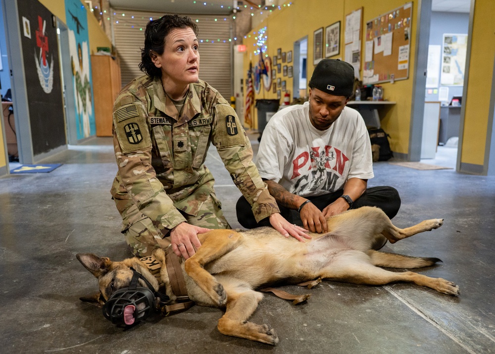 Airmen Train in K-9 TCCC Procedures