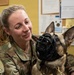 Airmen Train in K-9 TCCC Procedures