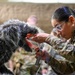 Airmen Train in K-9 TCCC Procedures