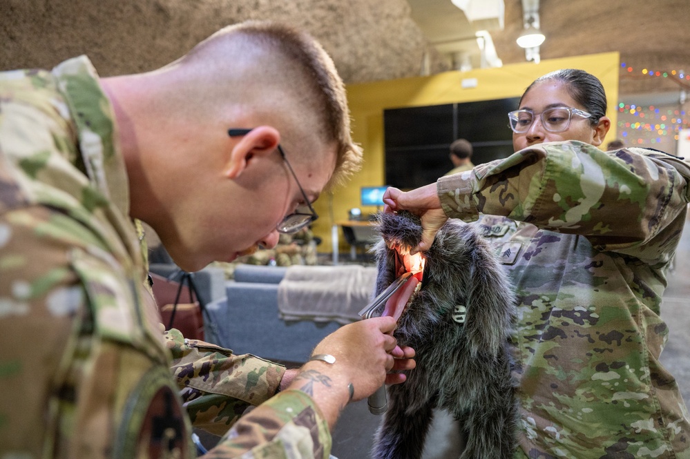 Airmen Train in K-9 TCCC Procedures