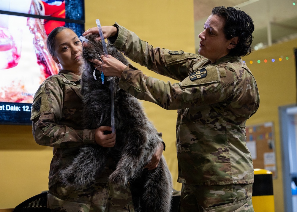 Airmen Train in K-9 TCCC Procedures