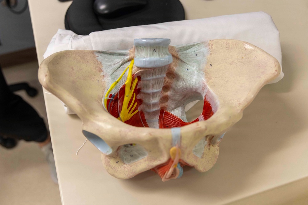 Pelvic Floor Therapy