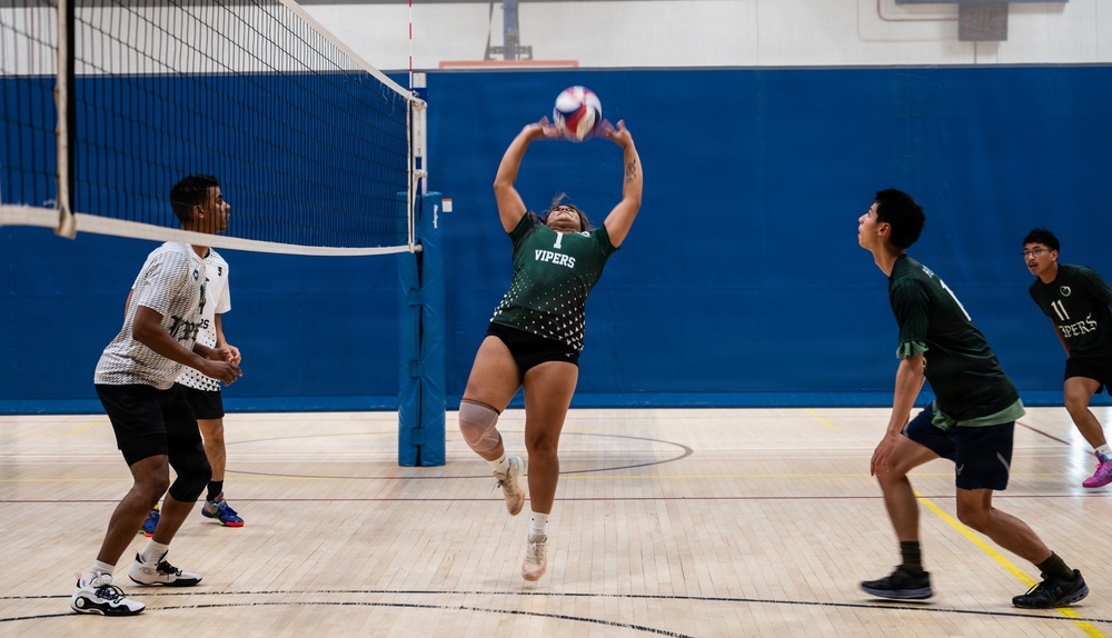 Viper Volleyball