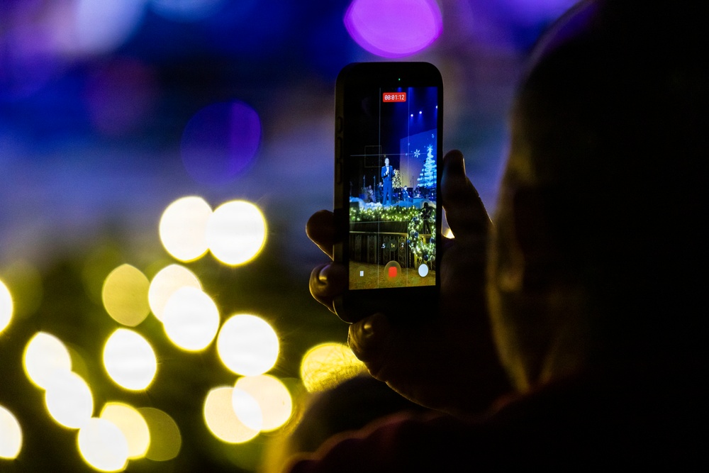 2025 Holiday in Blue