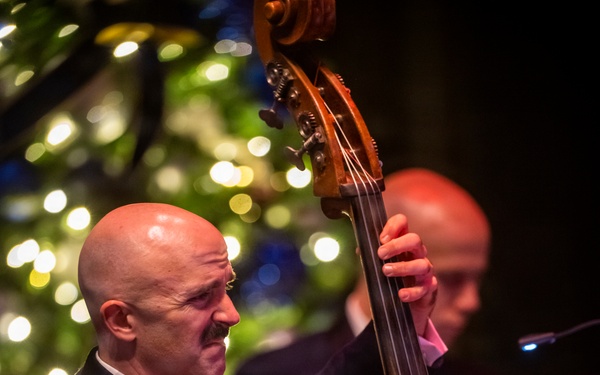 2025 Holiday in Blue