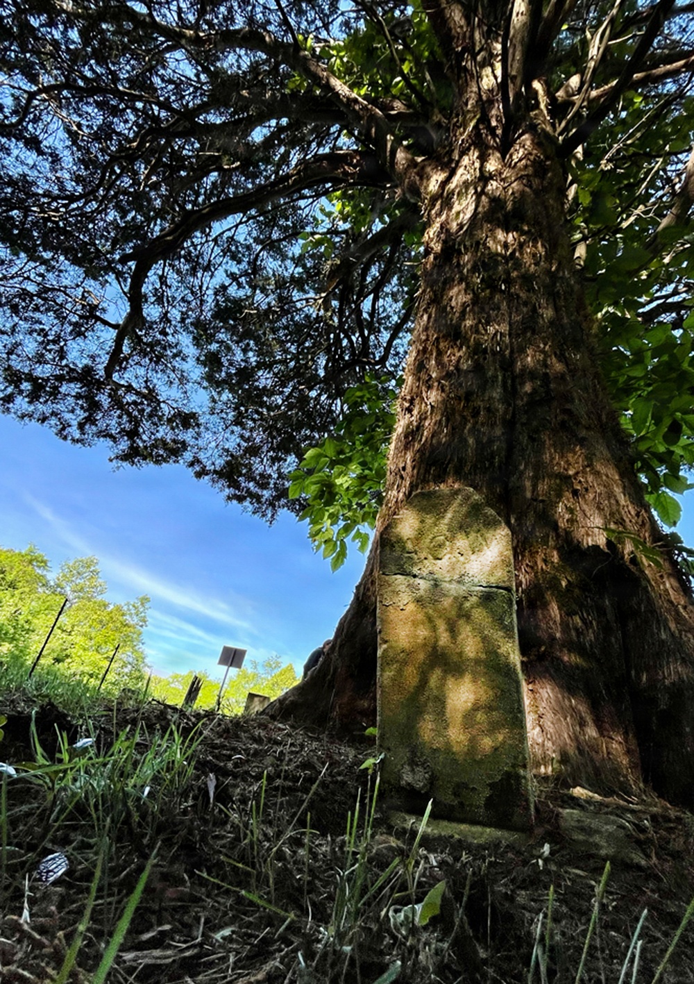 Fort Knox photojournalist looks back at 2025 through camera lens