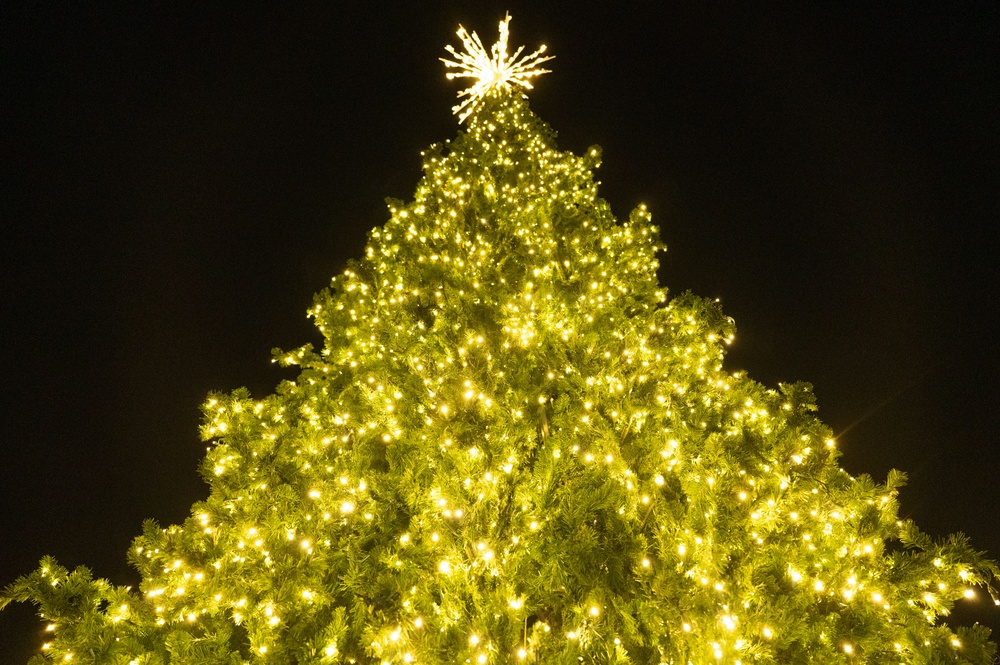 DM's 2025 Christmas Tree Lighting