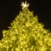 DM's 2025 Christmas Tree Lighting