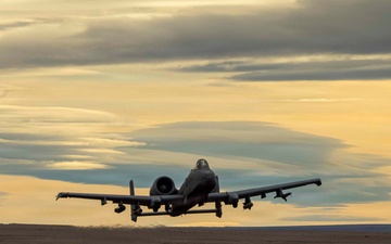 Steel Knight 25: 1st ANGLICO Marines coordinate close air support